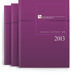 2013 全年業績報告