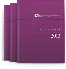 2013 Annual Report