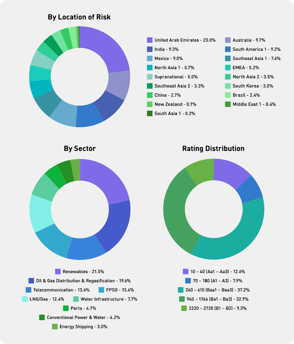Portfolio Overview